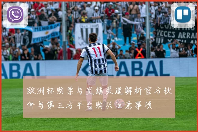 欧洲杯购票与直播渠道解析官方软件与第三方平台购买注意事项