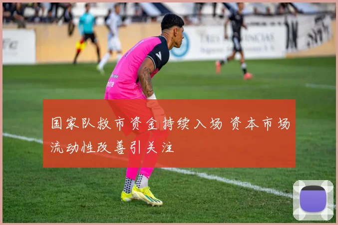 国家队救市资金持续入场 资本市场流动性改善引关注