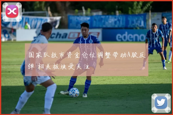 国家队救市资金仓位调整带动A股反弹 相关板块受关注